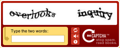 reCAPTCHA: More than the Usual Anti-Spam Measure